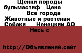 Щенки породы бульмастиф › Цена ­ 25 000 - Все города Животные и растения » Собаки   . Ненецкий АО,Несь с.